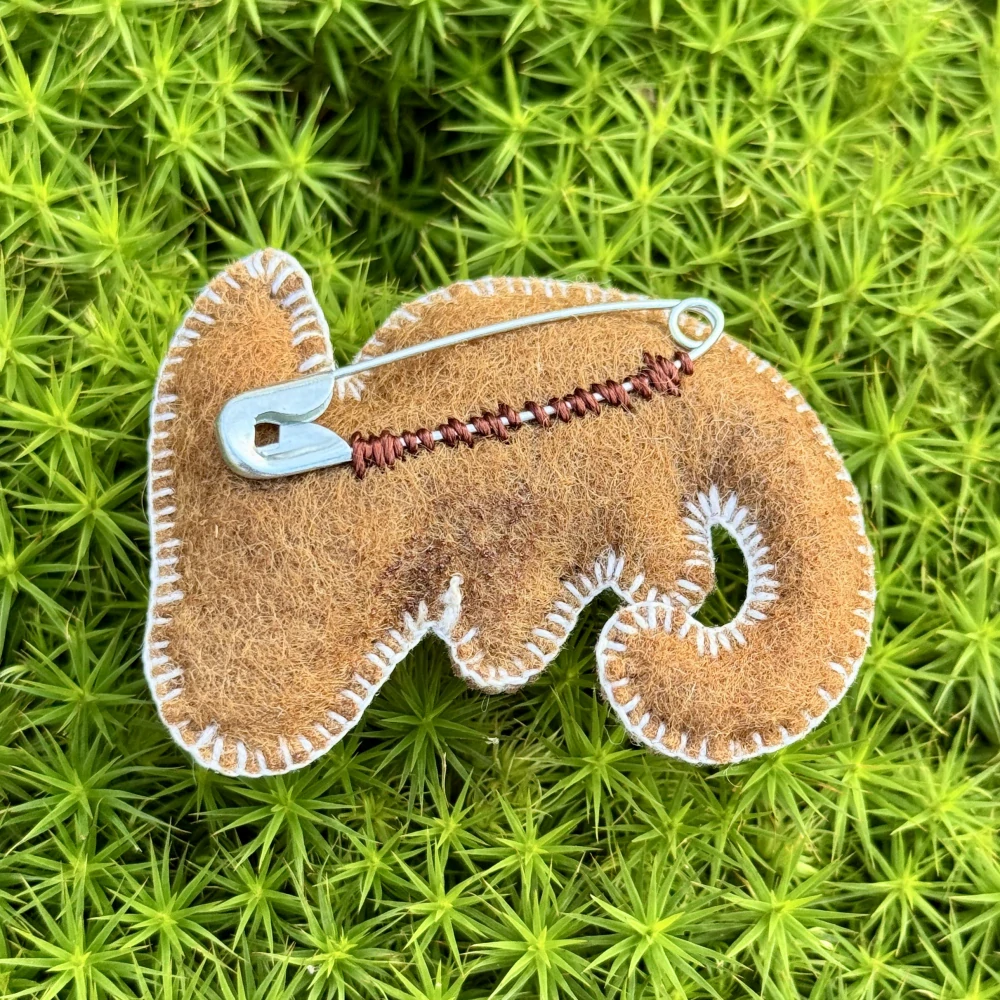 Chameleon - FERN