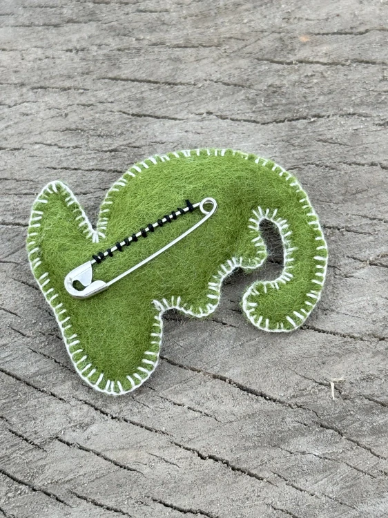Chameleon - FORREST