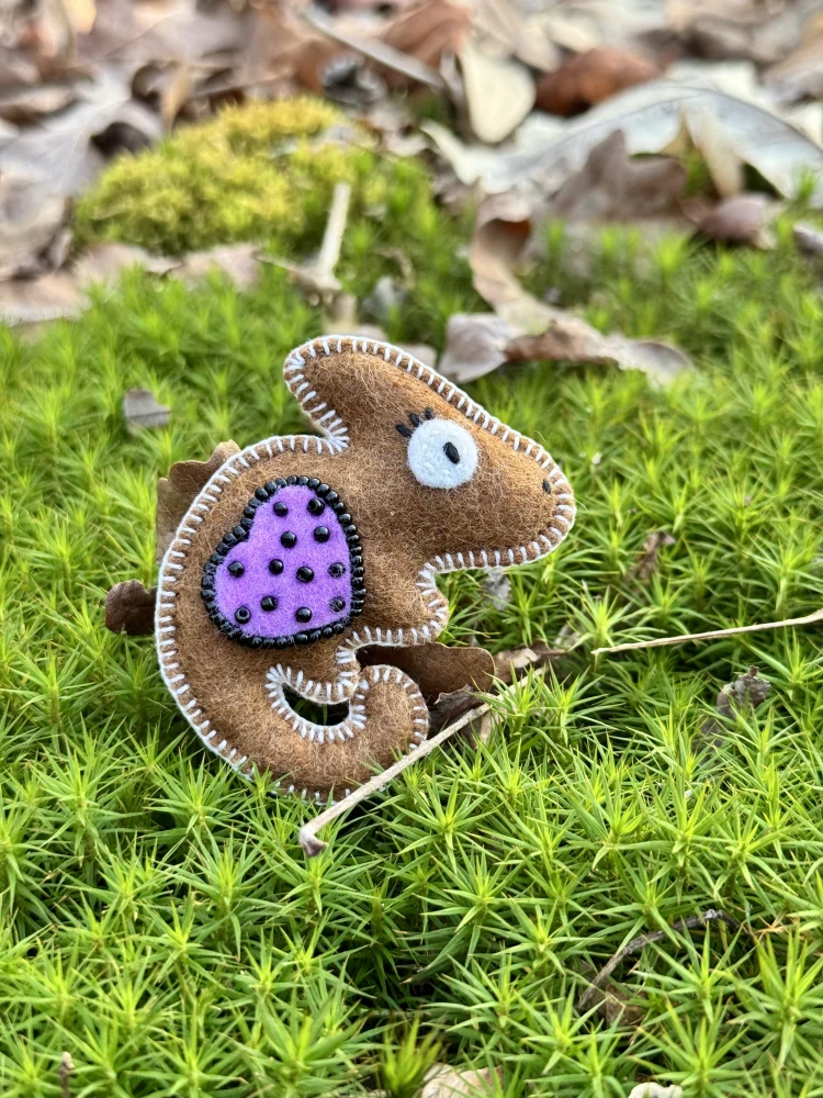 Chameleon - FERN