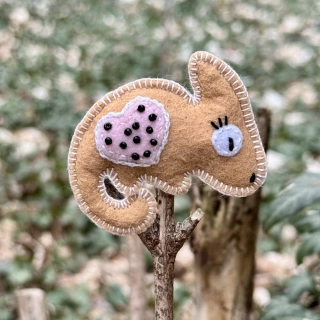 Chameleon - PEACHY
