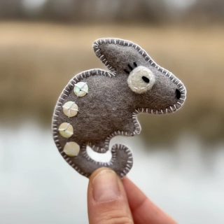 Chameleon - DUSTY